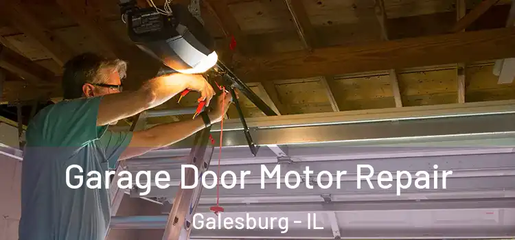  Garage Door Motor Repair Galesburg - IL