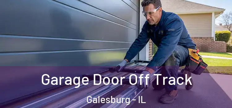  Garage Door Off Track Galesburg - IL