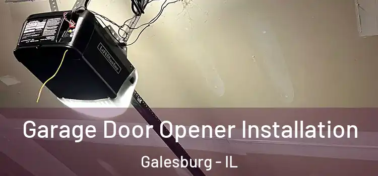  Garage Door Opener Installation Galesburg - IL