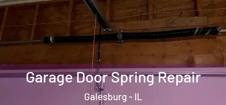  Garage Door Spring Repair Galesburg - IL