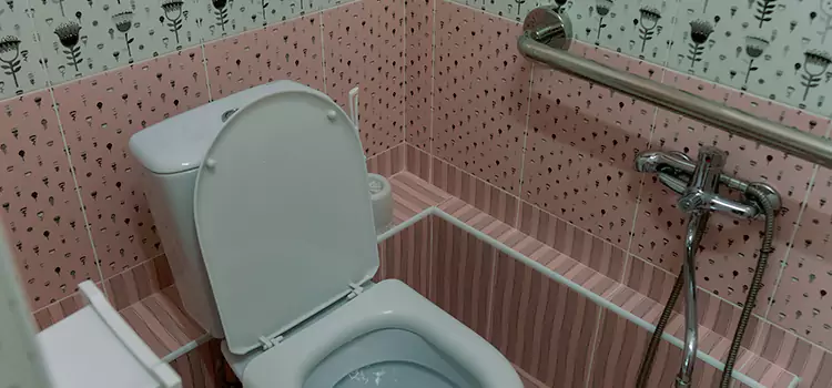 Meeting Diverse Needs With Accessible Restroom Solutions in Galesburg, IL