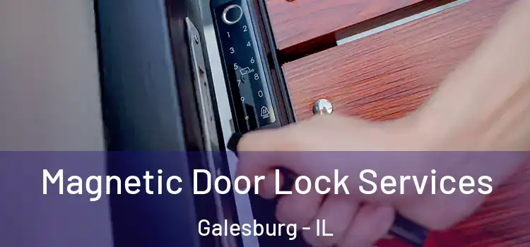 Magnetic Door Lock Services Galesburg - IL