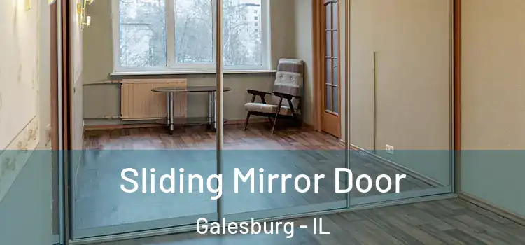  Sliding Mirror Door Galesburg - IL